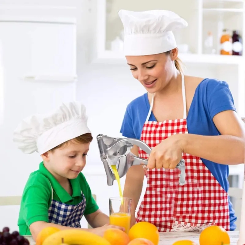 2026 Manual Juice Squeezer Alu - огляд і ціна Citrus Juicer Bar